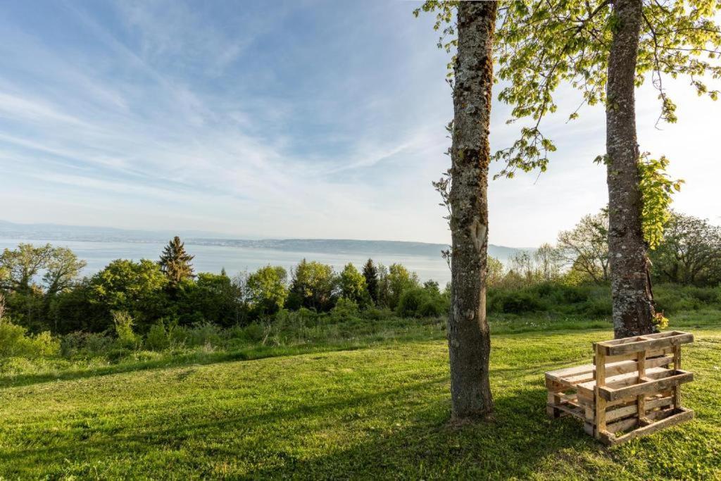 Le Garden - Ski - Vue Lac - Piscine - Parking - Evian - Thonon - לוגרה מראה חיצוני תמונה